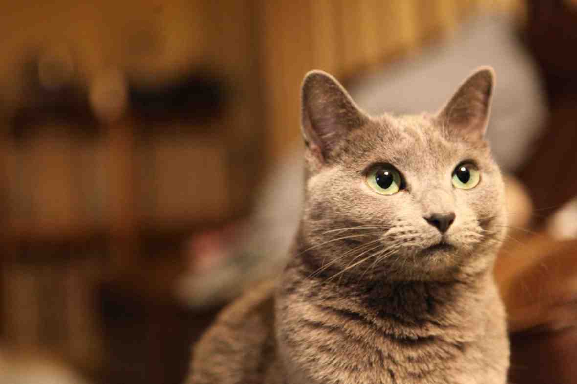 Amazing Grace : Mahalia Jackson 1