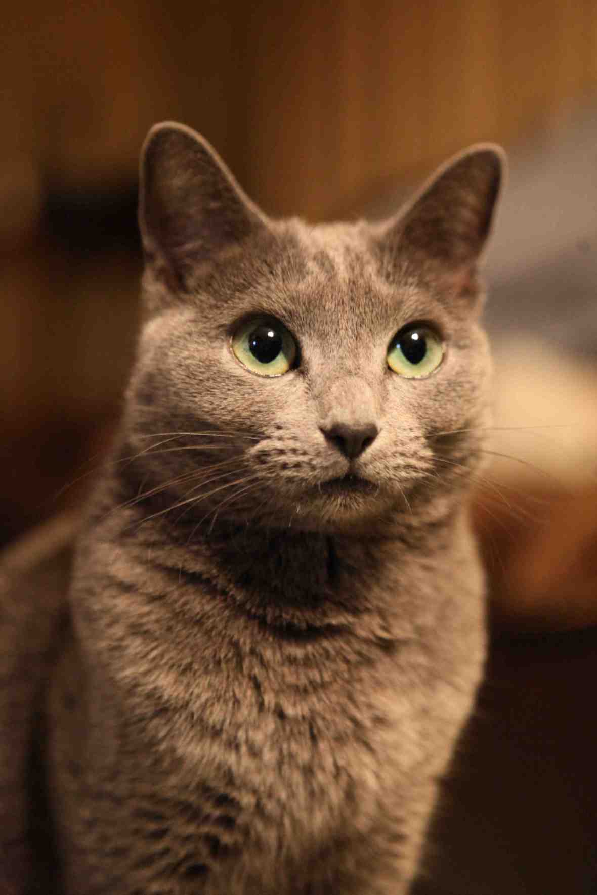 Amazing Grace : Mahalia Jackson 2