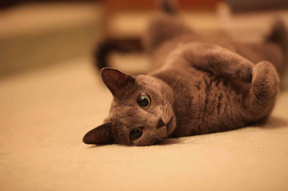 Billboard.com's 2013 Mid-Year Music Awards Poll X