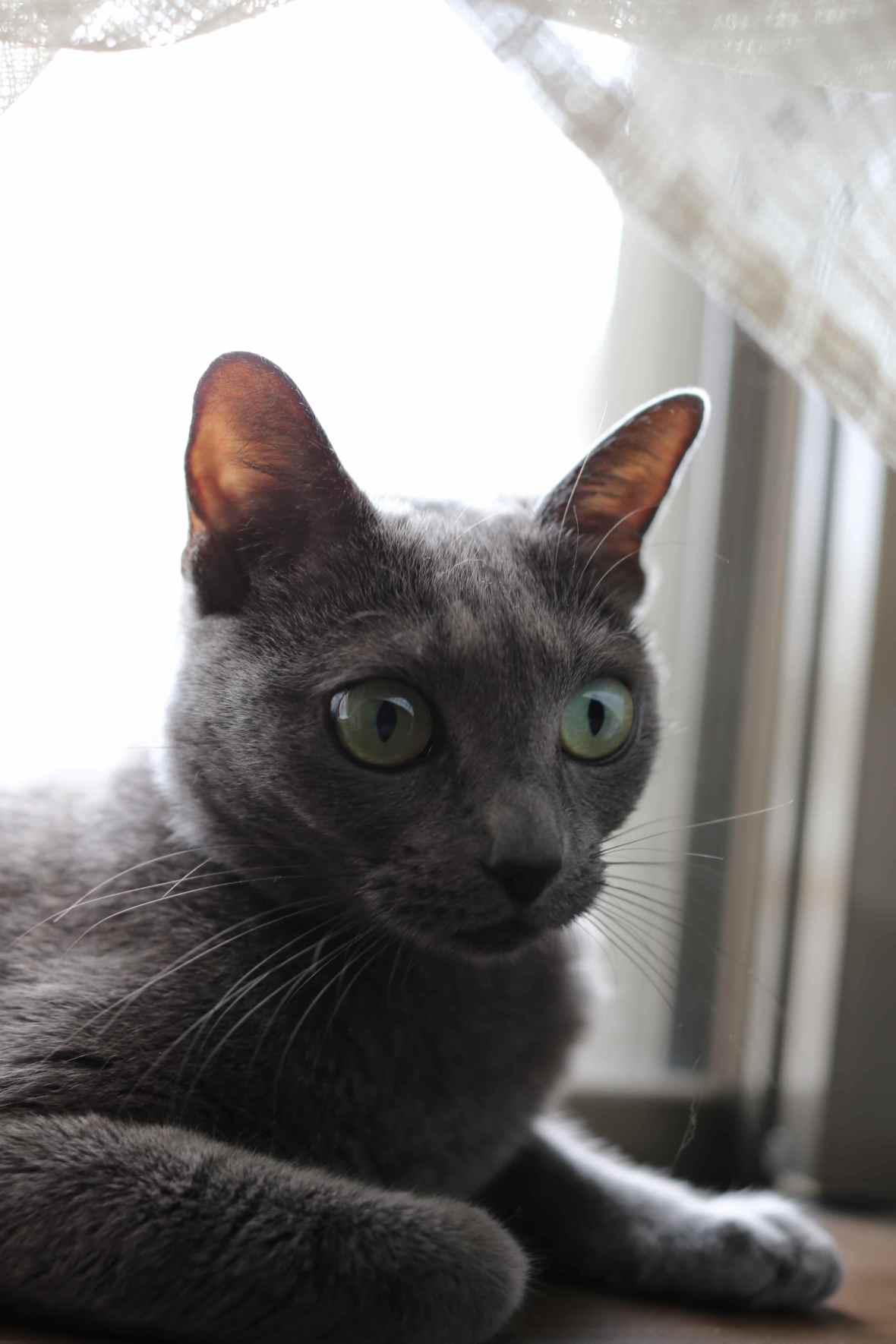 A Take Away Show in Brazil - Apanhador So