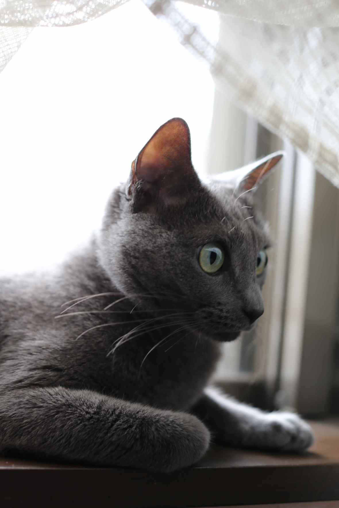 A Take Away Show in Brazil - Tulipa Ruiz