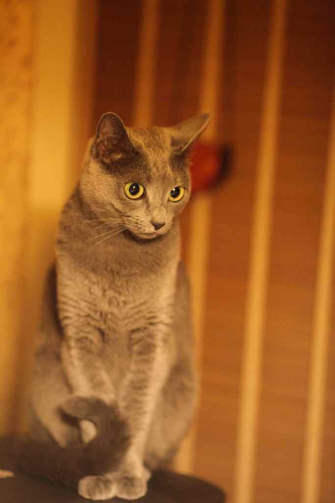 A Take Away Show - NO CEREMONY:::