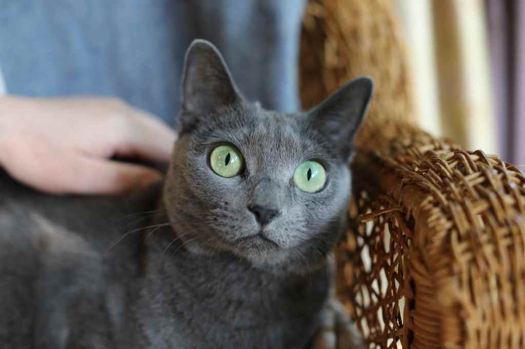 Justin Bieber Reached 100th Week At No. 1 On The Billboard Social 50